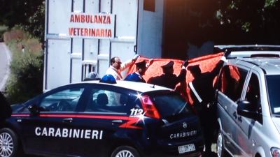 Valerio Andreucci, accusato dell'omicidio del veterinario a Osimo, è in carcere a Montacuto