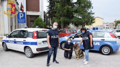 Spaccia droga in casa: cinquantasetenne arrestato dalla Polizia grazie a Ila, cane antidroga