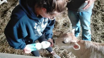 Coldiretti Marche festeggia la Giornata Mondiale del Latte: produzione ed export in aumento