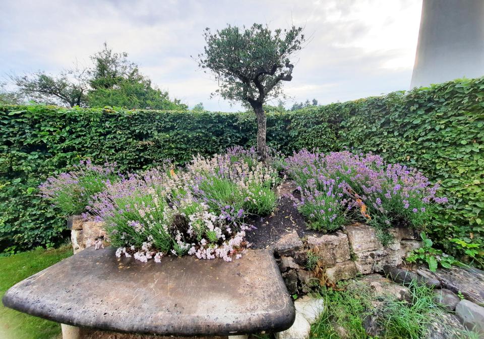 Scoprire Ascoli Piceno a Treviri: sul Petrisberg, il giardino dedicato alla città gemellata